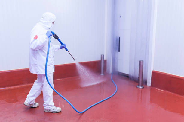 Best Patio and Deck Pressure Washing  in Latham, NY