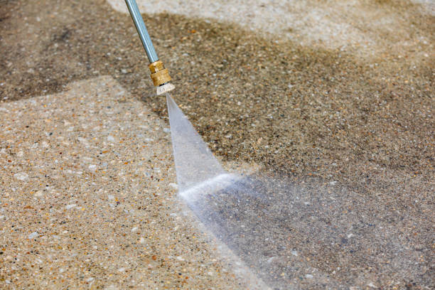 Best Animal Enclosure Cleaning  in Latham, NY